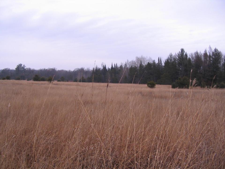 Parcel 14 N M-18, Roscommon, Michigan 48653, Estados Unidos