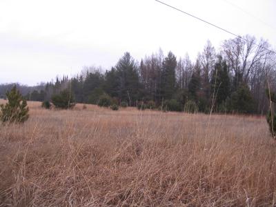 Parcel 14 N M-18, Roscommon, Michigan 48653, Estados Unidos