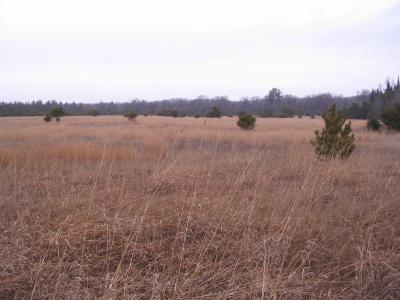 Parcel 14 N M-18, Roscommon, Michigan 48653, Estados Unidos