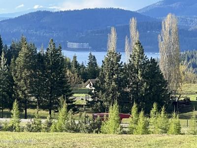 5939 E Burma Rd, Harrison, Idaho 83833, Estados Unidos