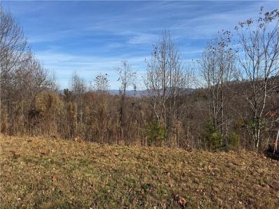 33 Chatuge Manor Drive, Young Harris, Georgia 30582, Stati Uniti