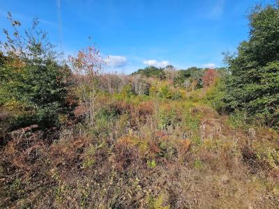 940 S Cedar Avenue, Niceville, فلوريدا 32578, الولايات المتحدة