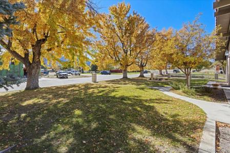 546 Ouray Avenue, Salida, קולורדו 81201, ארצות הברית של אמריקה 