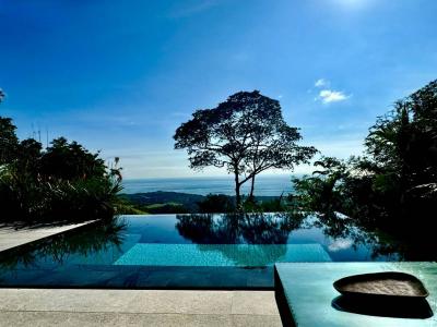 Bahia Ballena , Uvita Bahía Ballena Osa, 蓬塔雷纳斯 60504, 哥斯达黎加