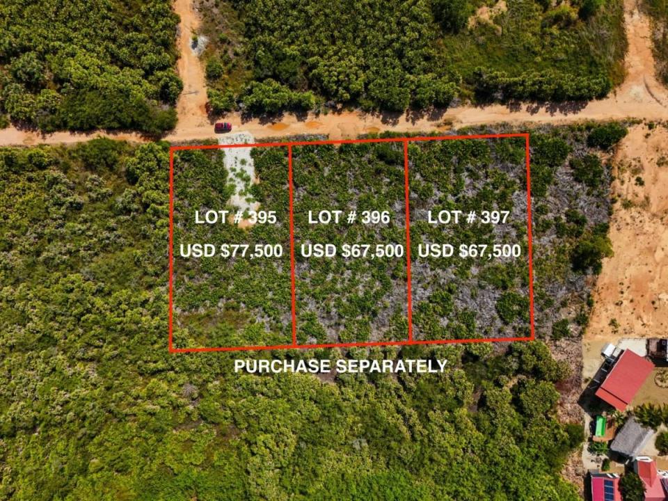 Carribean Way, Placencia Peninsula 00001, Belice