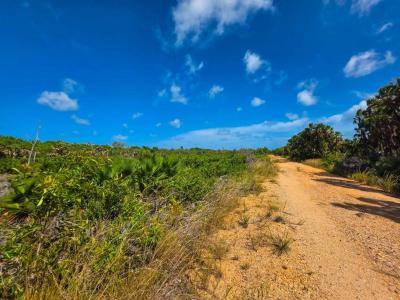 Carribean Way, Placencia Peninsula 00001, Belice