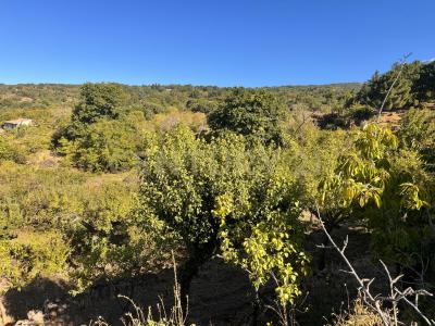 Belpasso, Sicilia 95032, 義大利