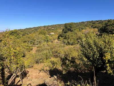 Belpasso, Sicilia 95032, 義大利