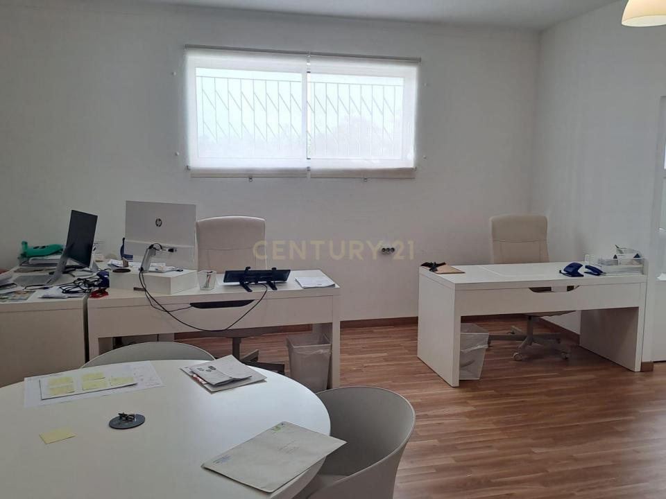 Palmela, 塞图巴尔 2950-042, 葡萄牙