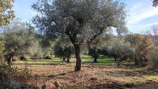 Penamacor, Castelo Branco 6000-000, Portugal