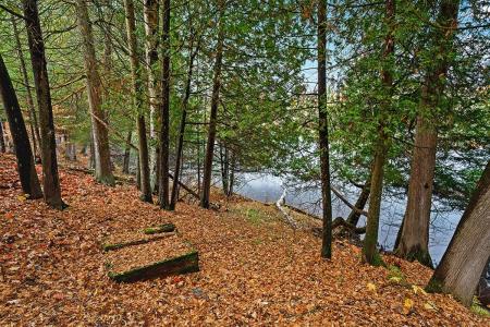 194  Ch. Johnson, Thorne, Quebec J0X 2A0, Canada