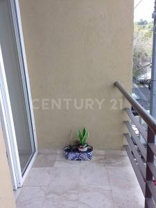 Av. 16 de septiembre 617,, Cuajimalpa De Morelos, Ciudad De México 05500, 멕시코