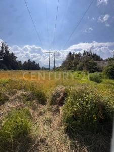 LA PALMA S/N,, Valle De Bravo, 墨西哥州 51200, 墨西哥