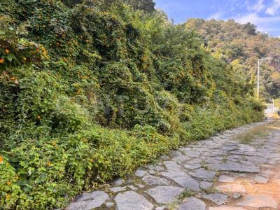 LOTE 21 CUARTEL VII VALLE DE BRAVO LOTE 21,, Valle De Bravo, Estado De México 51200, Mexico