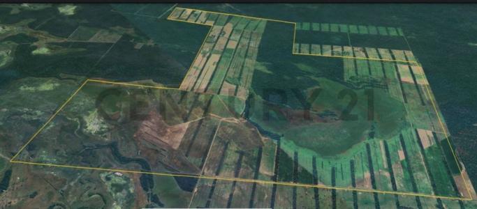 Norte, Santa Cruz 00001, 玻利維亞