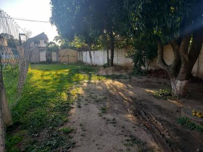 Oeste, Santa Cruz 00001, Bolivia