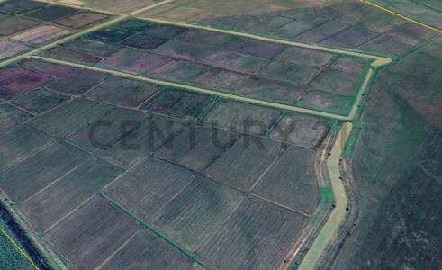 Norte, Santa Cruz 00001, ボリビア