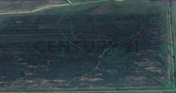 Norte, Santa Cruz 00001, ボリビア