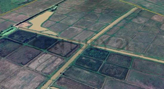 Norte, Santa Cruz 00001, ボリビア