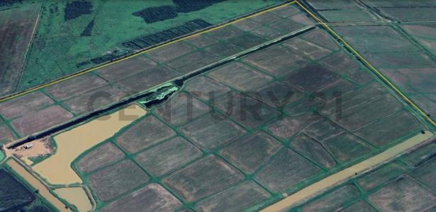 Norte, Santa Cruz 00001, ボリビア