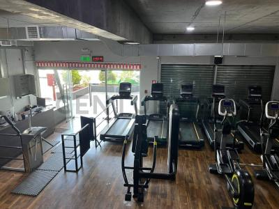 Biobío, Región Del Biobío 00001, 智利