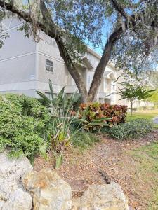 14412 Reuter Strasse Cir # 213, Tampa, Florida 33613, USA