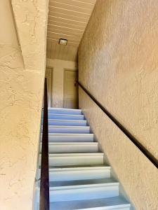 14412 Reuter Strasse Cir # 213, Tampa, Florida 33613