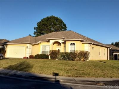 4525 N Grass Island Terrace, Hernando, Floride 34442, États-Unis