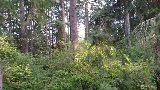 12106 Sound Drive, Anderson Island, Washington 98303, USA