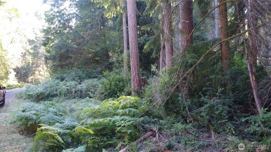 12106 Sound Drive, Anderson Island, Washington 98303, USA