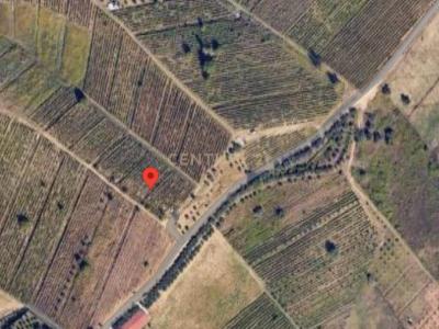 Lundër, Tirana, Albanien