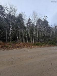 LOT 60 CHALET DRIVE, Vaughan, Nuova Scozia B0N 2T0, Canada