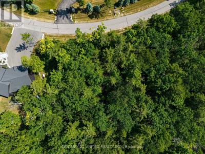 LOT 33 FIRE ROUTE 70B, Trent Lakes, 온타리오주 K0L 1J0, 캐나다