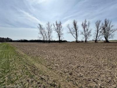 PT LOT 2 PEAVINERY ROAD, Burford, Ontario N0E 1L0, Canada