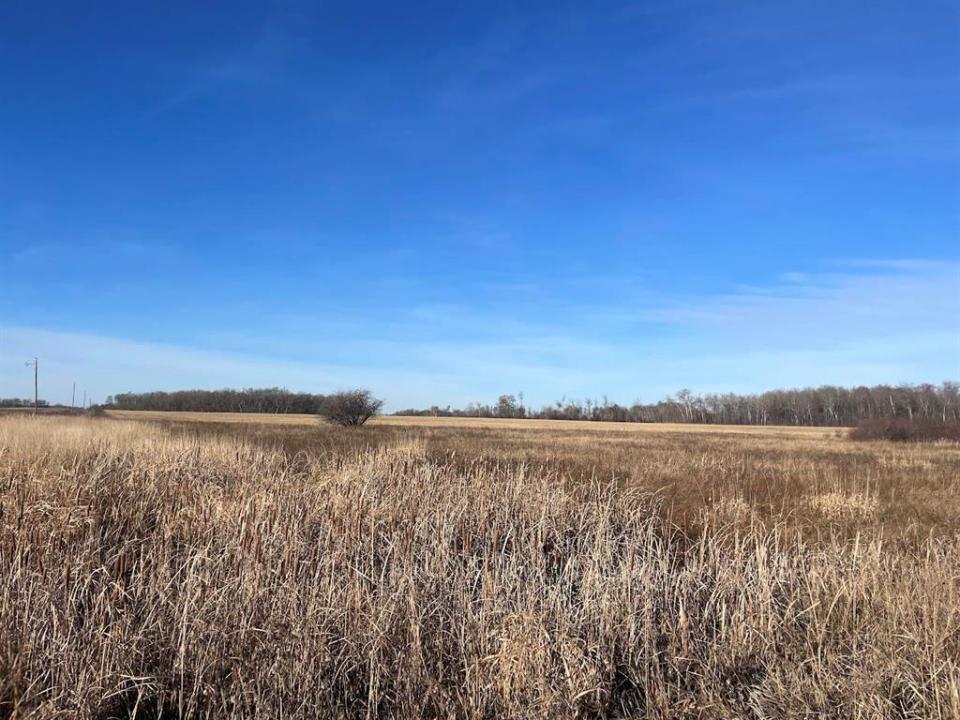 UNKNOWN, Lenore, Manitoba R0M 1E0, CANADÁ