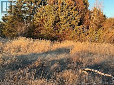 LOT RUE PRINCIPALE, Tracadie, Нью-Брaнсуик E1X 1E3, Канада