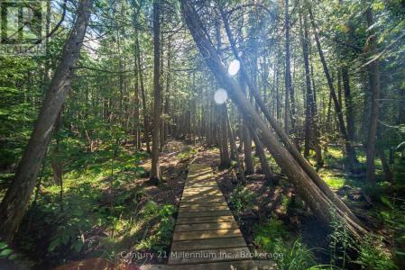 1025 WEST ROAD, Northern Bruce Peninsula, Ontario N0H 1W0, Canadá