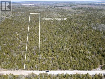 LT 12 CON 2 WBR LINDSAY, Northern Bruce Peninsula, Ontario N0H 1W0, Kanada
