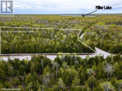 PT LT 24-25 CON 4 EBR, Northern Bruce Peninsula, Ontario N0H 1W0, Canada