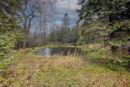 252 DURHAM ROAD W, West Grey, 安大略省 N0G 1R0, 加拿大