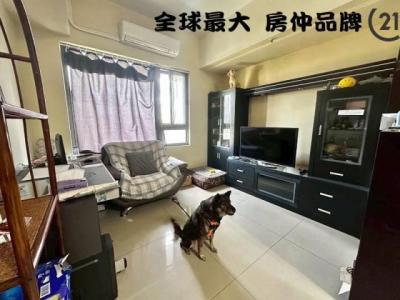 合安一路, Banqiao Dist., New Taipei City 220, Taiwan