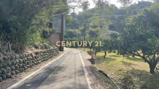 赤柯山段, أومي بلدة, مقاطعة شينتشو 315, تايوان