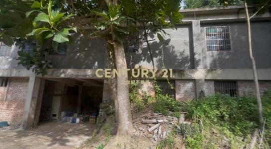 赤柯山段, أومي بلدة, مقاطعة شينتشو 315, تايوان