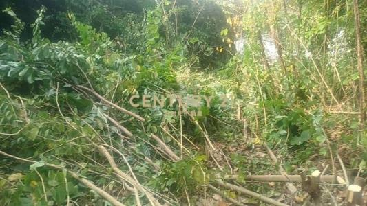 大峰段, 員林市, Changhua County 510, Taiwan