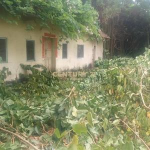 大峰段, 員林市, Changhua County 510, Taiwan