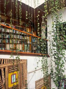 Armenia, 킨디오 00001, 콜롬비아