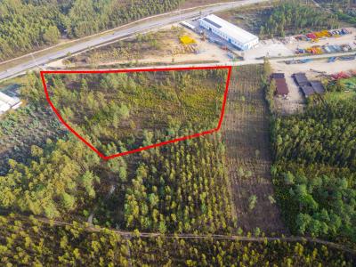 Leiria, Leiria 2400-441, Portugal