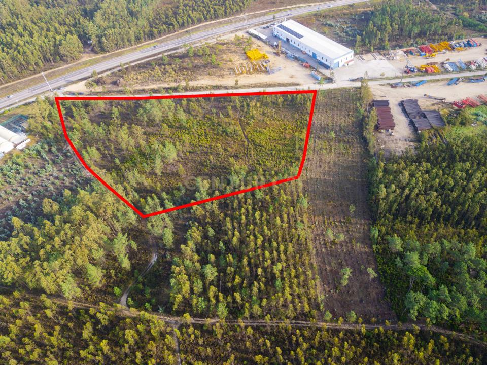 לייריה, לייריה 2400-441, פורטוגל 