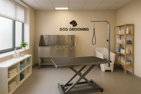 Coimbra, Coimbra 3030-300, Portugal