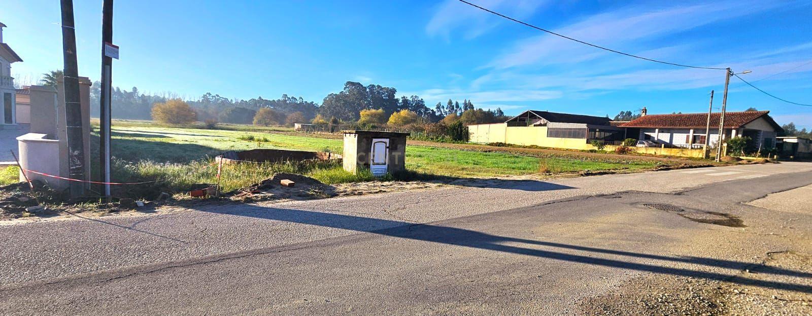 Vagos, Aveiro 3840-571, Portugal